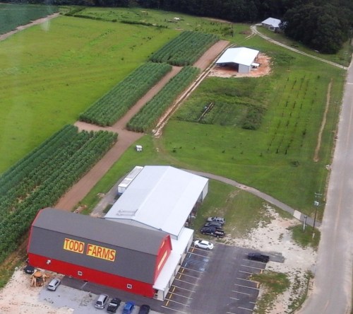 Aerial view of Todd Farms featuring fields, a red barn, and a parking lot along a rural road.