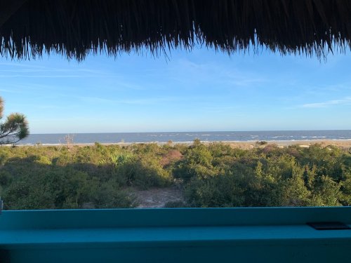 View of a serene beach with gentle waves, framed by greenery and a thatched roof in the foreground.