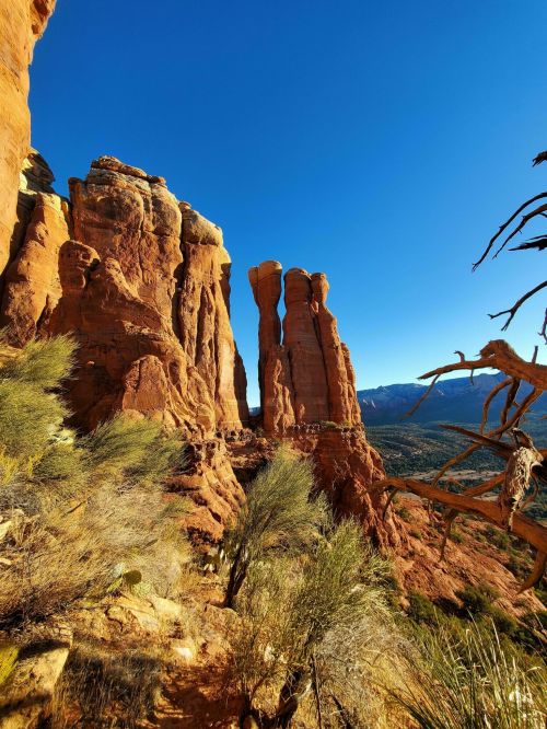 A scenic view of towering red rock formations against a clear blue sky, surrounded by desert vegetation.