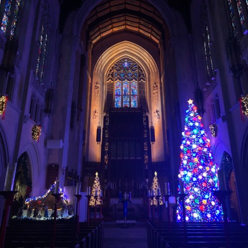 A beautifully decorated church interior with a large Christmas tree and colorful stained glass windows.