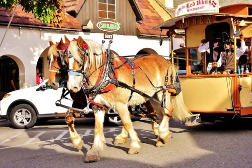 A horse-drawn carriage with two horses in harness, passing by a restaurant in a lively street scene.