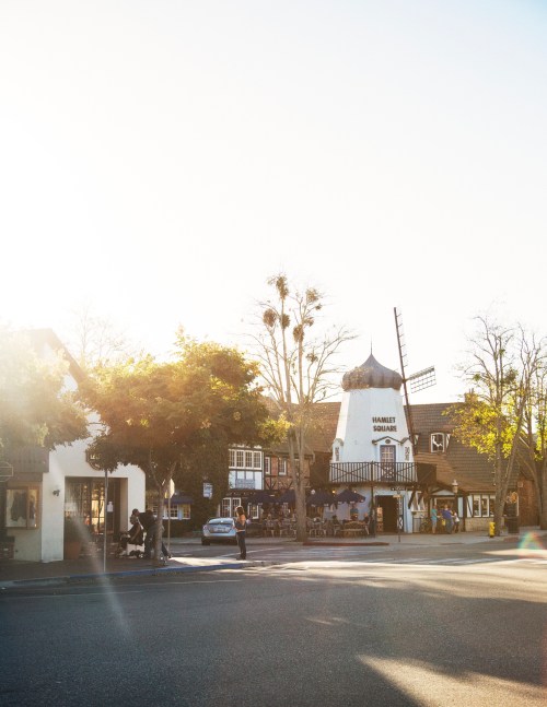 A sunny street scene featuring charming buildings, including a windmill structure, and trees lining the road.