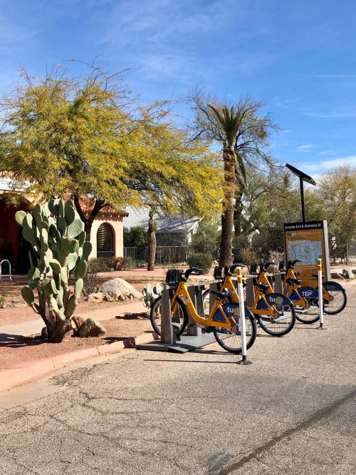 Bike-sharing station with yellow bikes, surrounded by desert plants and a cactus, near a building in a sunny area.