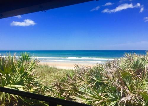 A serene beach view with clear blue water, sandy shore, and lush greenery in the foreground under a bright sky.