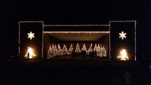 A festive display of illuminated trees and stars, creating a warm holiday atmosphere at night.