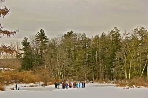 A group of people walking on a snowy landscape near a forest under a cloudy sky.