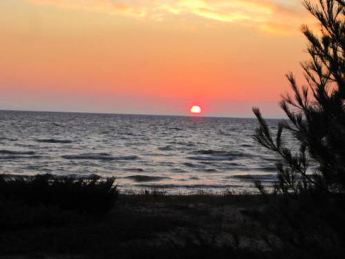 A serene sunset over the ocean, with vibrant orange and pink hues reflecting on the water and silhouetted trees in the foreground.