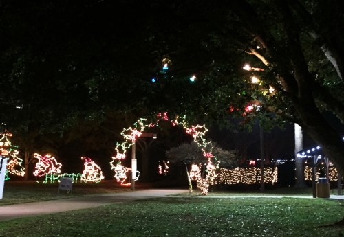 A park decorated with colorful Christmas lights, featuring an arch and festive displays among trees at night.