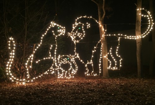 A nighttime scene featuring illuminated wire sculptures of two lions and a cub, surrounded by trees and leaves.