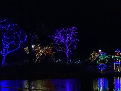 Colorful holiday lights illuminate trees and cheerful figures by a dark waterway at night.
