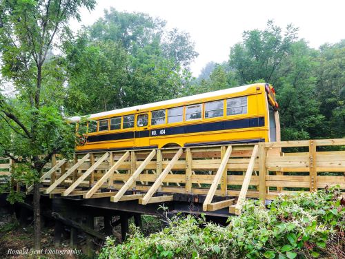 A yellow school bus on a wooden bridge surrounded by lush greenery and trees.