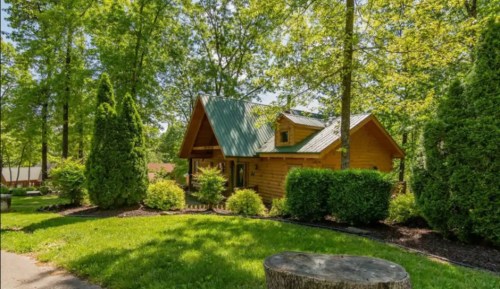 A charming wooden cabin surrounded by lush greenery and tall trees in a serene outdoor setting.