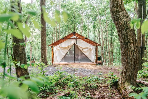 A cozy cabin with a wooden frame and mesh front, nestled among lush green trees in a forest setting.