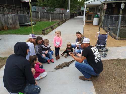 A group of children and adults sit on the ground, observing a small alligator in a park setting.