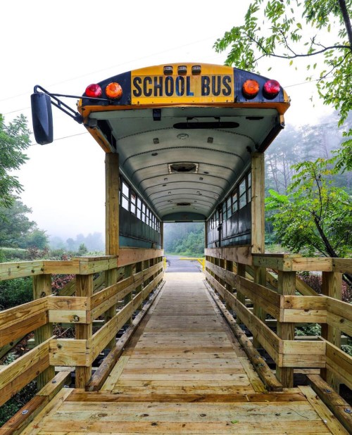 A school bus positioned on a wooden platform, surrounded by greenery and misty hills in the background.