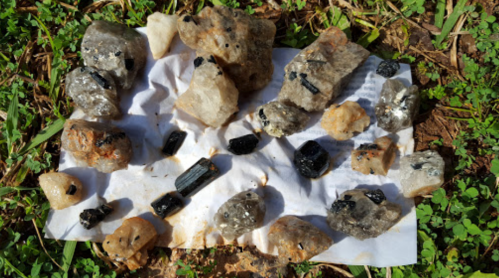 A variety of rocks and minerals scattered on a piece of paper, set against a grassy background.