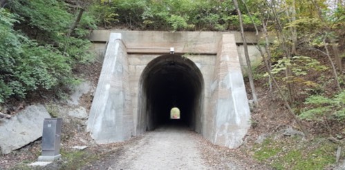 A stone tunnel entrance surrounded by trees and rocky terrain, leading into a dark passageway.