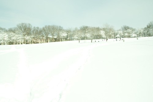 A snowy landscape with trees in the background and people playing in the snow. Bright, overcast sky.