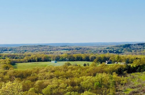 A panoramic view of lush green fields and trees under a clear blue sky, with distant hills in the background.