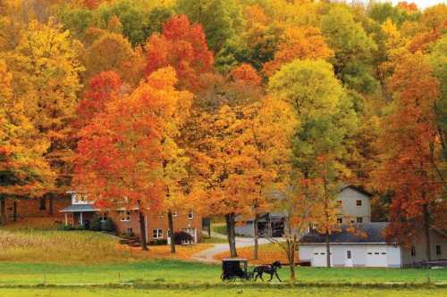 A picturesque autumn scene with vibrant orange and yellow trees, a horse-drawn carriage, and a cozy farmhouse.