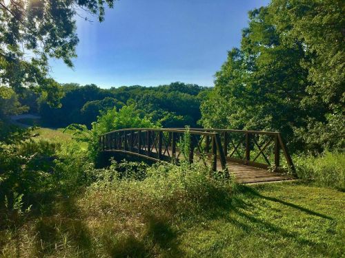 A wooden bridge spans a lush green landscape, surrounded by trees and tall grass under a clear blue sky.