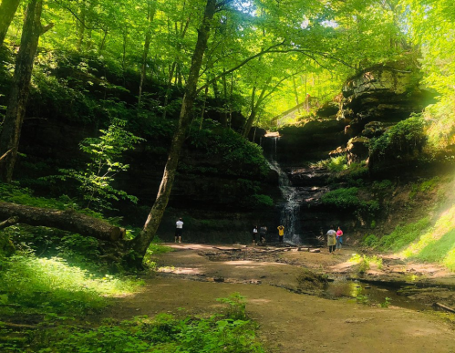 A serene forest scene featuring a waterfall cascading down rocky cliffs, surrounded by lush greenery and visitors exploring.