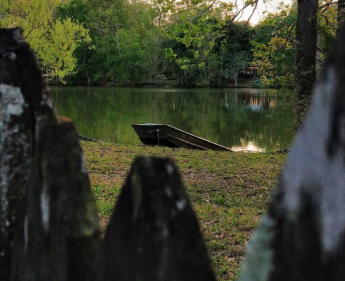 A serene lake scene with a small boat on the shore, surrounded by lush greenery and trees.