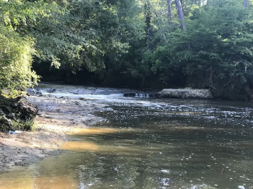 A serene riverbank scene with gentle water flow, surrounded by lush greenery and trees.