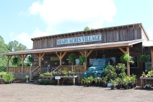 A rustic wooden building with a sign reading "Shady Acres Village," surrounded by potted plants and an old truck.