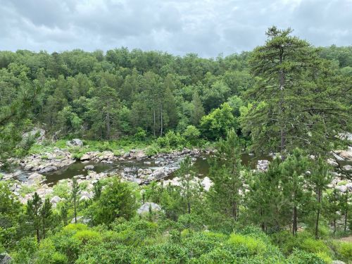 A serene river flows through a lush green forest, surrounded by rocky outcrops and tall trees under a cloudy sky.