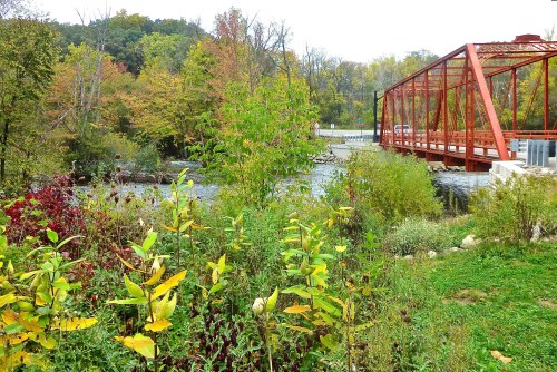 A scenic view of a river with a red bridge, surrounded by colorful autumn foliage and lush greenery.