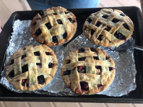Four freshly baked berry pies with lattice crusts on a silver tray, resting on foil.