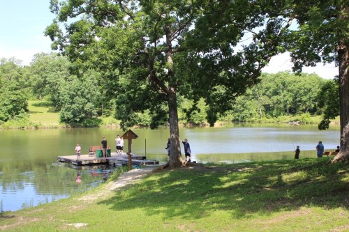 A serene lakeside scene with people on a dock, surrounded by trees and greenery on a sunny day.