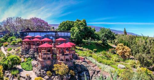 A scenic view of a restaurant with red umbrellas, surrounded by lush greenery and colorful flowers under a clear blue sky.