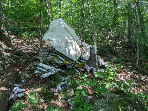 A wrecked aircraft fuselage partially covered by foliage in a dense forest.