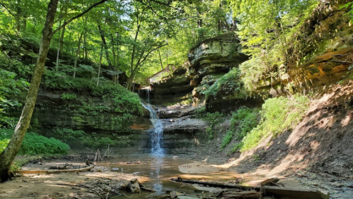 A serene forest scene featuring a small waterfall cascading down rocky cliffs, surrounded by lush greenery.