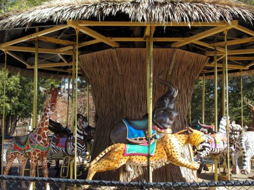 A carousel featuring colorful animal figures, including a giraffe, zebra, and leopard, under a thatched roof.