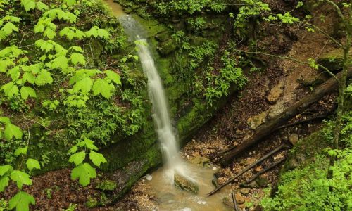 A serene waterfall cascades over mossy rocks, surrounded by lush green foliage and earthy terrain.