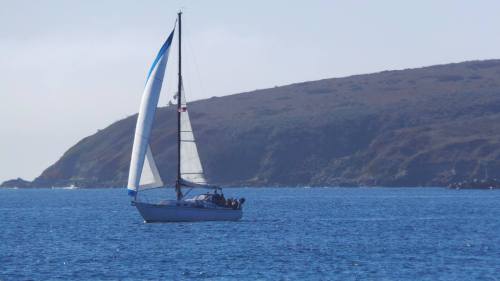 A sailboat with white and blue sails glides across calm blue waters near a hilly coastline.