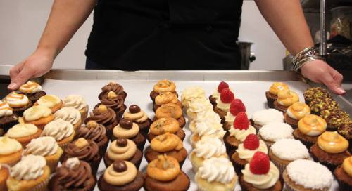 A person holds a tray of assorted cupcakes, featuring various flavors and toppings, arranged in neat rows.