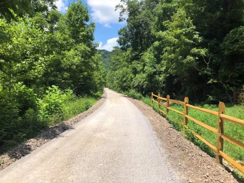 A gravel road lined with greenery and a wooden fence, leading into a forested area under a blue sky.