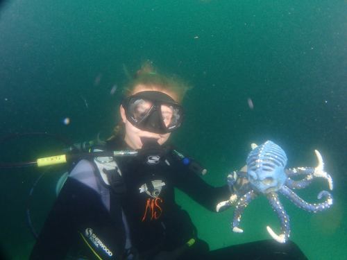 A diver in a wetsuit holds a blue octopus underwater, surrounded by greenish water.