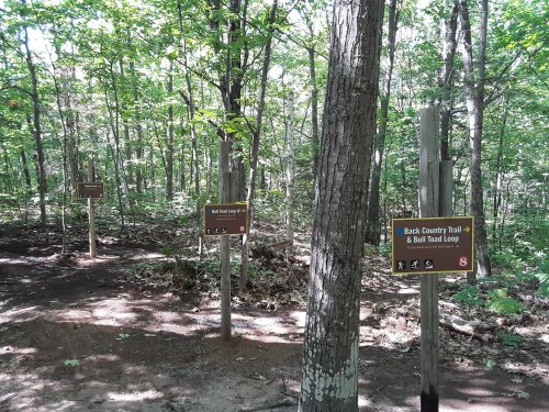 Trail signs in a wooded area, indicating the Back Country Trail and Bull Toad Loop paths.