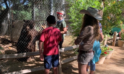 A group of people observes a bear in a fenced enclosure at a wildlife sanctuary.