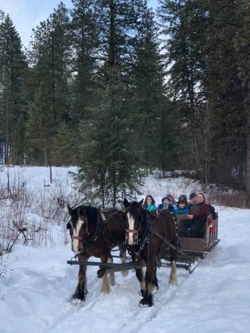A horse-drawn sleigh carries a group of people through a snowy forest landscape. Pine trees surround the scene.