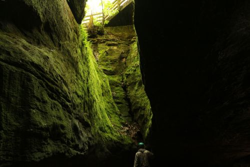 A person stands in a moss-covered canyon, with sunlight filtering through the trees above.