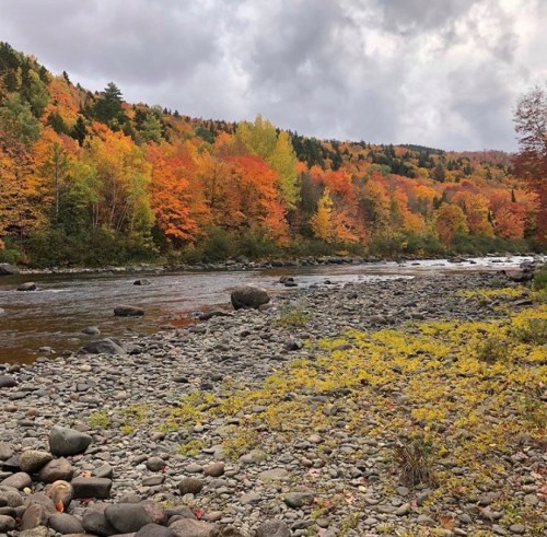 A serene river flows through a rocky shore, surrounded by vibrant autumn foliage in shades of orange and yellow.