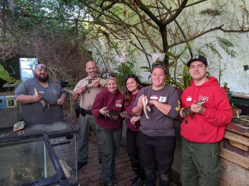 A group of six staff members holding reptiles in a lush, green indoor environment.