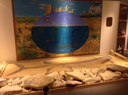 A fossil display with a large fish skeleton surrounded by rocks, set against a colorful mural of prehistoric life.