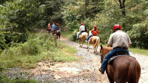 A group of people riding horses along a wooded trail, wearing helmets and enjoying a scenic outdoor experience.